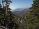 imgp0021_small.jpg