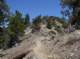 imgp0024_small.jpg