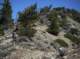 imgp0025_small.jpg