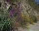 imgp0003_small.jpg