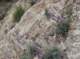 imgp0008_small.jpg
