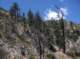 imgp0011_small.jpg