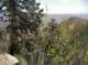 imgp0012_small.jpg