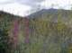 imgp0017_small.jpg