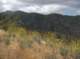 imgp0019_small.jpg
