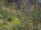 imgp0021_small.jpg