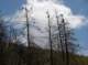 imgp0024_small.jpg