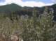 imgp0026_small.jpg