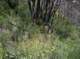 imgp0028_small.jpg