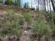 imgp0030_small.jpg