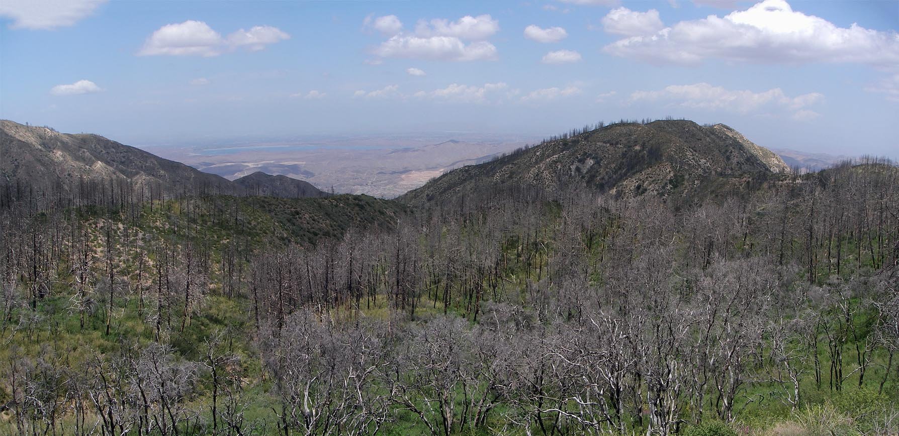 Indian Truck Trail looking East 5/22/2021 
