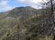 imgp0033_small.jpg