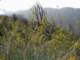 imgp0035_small.jpg