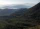 imgp0005_small.jpg