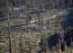 imgp0009_small.jpg