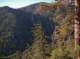 imgp0016_small.jpg