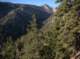 imgp0018_small.jpg