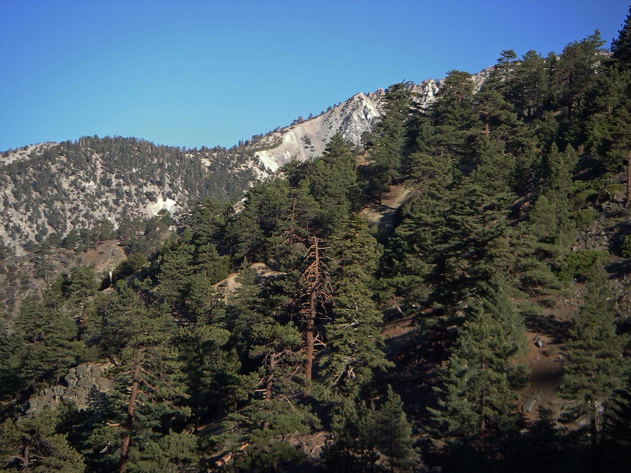 imgp0003.jpg