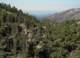 imgp0009_small.jpg