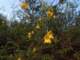 imgo4090004_small.jpg