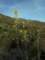 imgo4090014_small.jpg