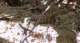 imgo4090047_small.jpg