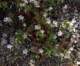 imgo4090057_small.jpg
