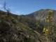 Santiago Peak as seen from Indian Truck Trail training hike V 4/9/2022