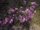 imgo4090059_small.jpg