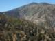 Many burned pine trees from the 2018 fire have since blown down 5/7/2022