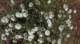imgo0034_small.jpg