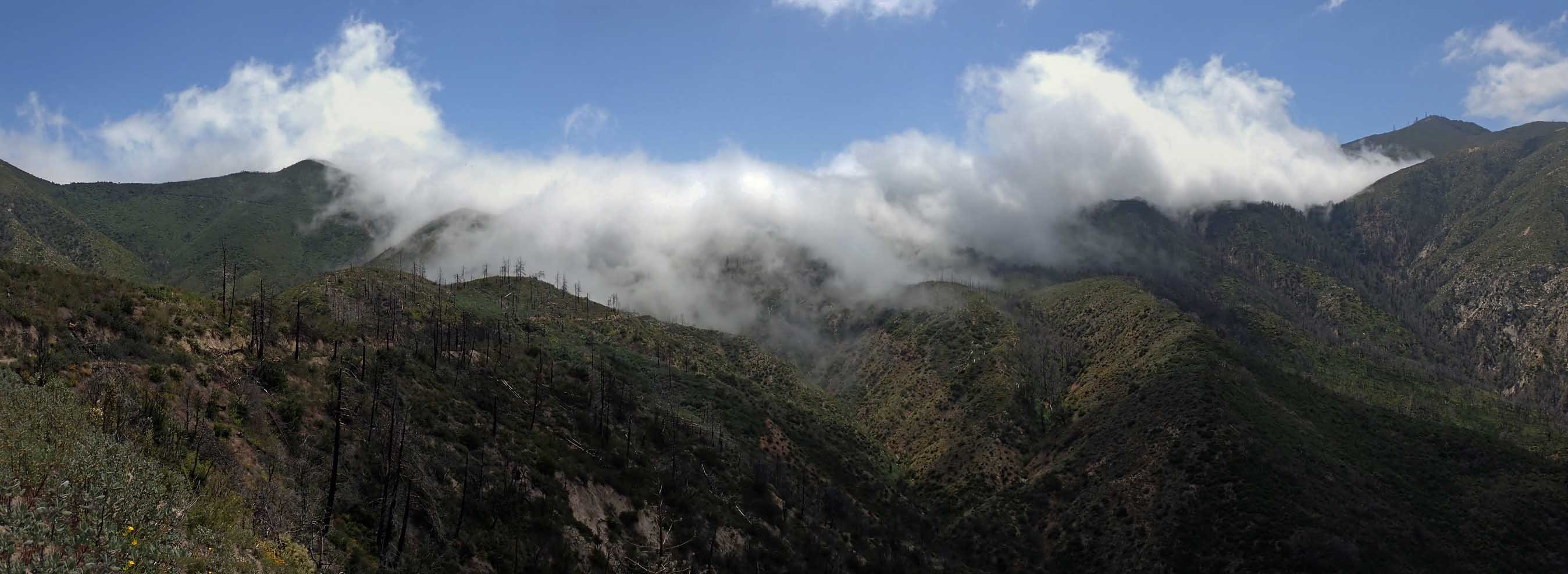 Panorama of the marine layer poring over a low stretch of the Santa Ana Mountain crest 5/21/2022.