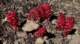 imgo6110012_small.jpg