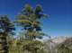 glxy920220625_093304_small.jpg