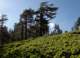 imgo7040032_small.jpg