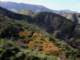 imgo3120052_small.jpg