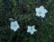 imgo4010043_small.jpg