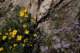 imgo4290017_small.jpg