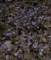 imgp6030002_small.jpg