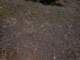 imgp6030003_small.jpg