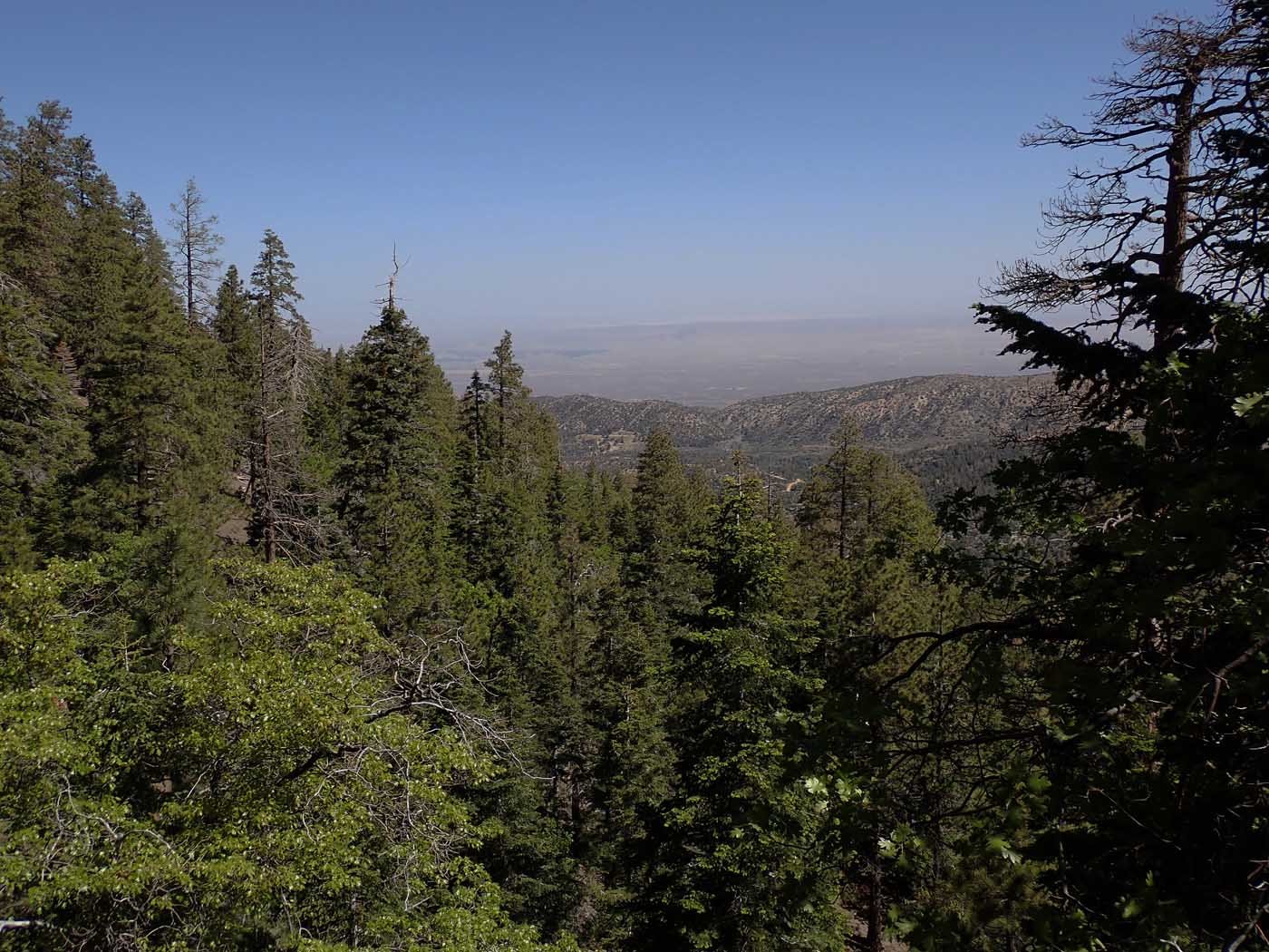 Training Hike VIII near Jackson Lake, overlooking northward over the Mojave Desert 6/2/2023