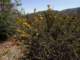 imgp6030006_small.jpg