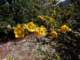 imgp6030008_small.jpg