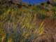 imgp6030009_small.jpg