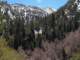 gopr0051_small.jpg