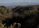 imgo4060002_small.jpg