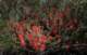 imgo4060023_small.jpg