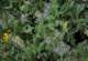 imgo4200004_small.jpg