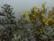 imgo4200013_small.jpg