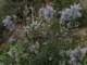 imgo4200028_small.jpg